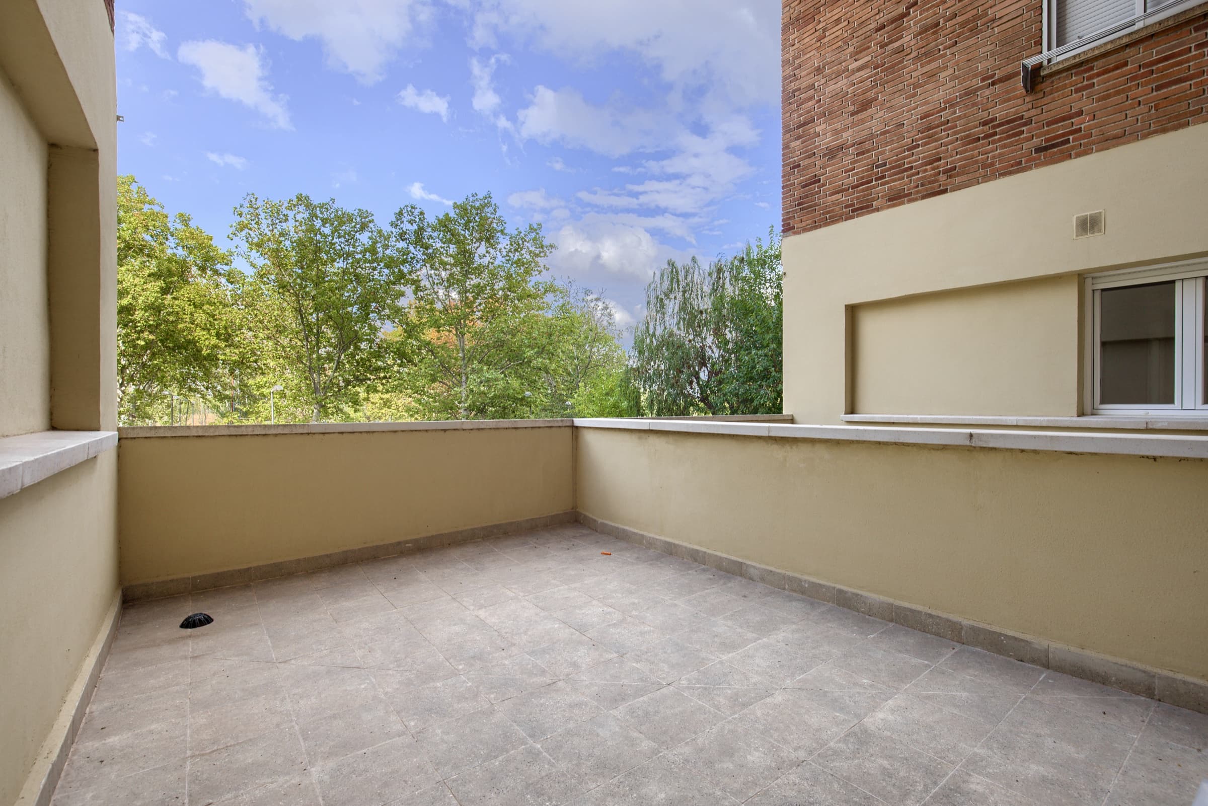 Dobo Madrid Pinar, photo 2